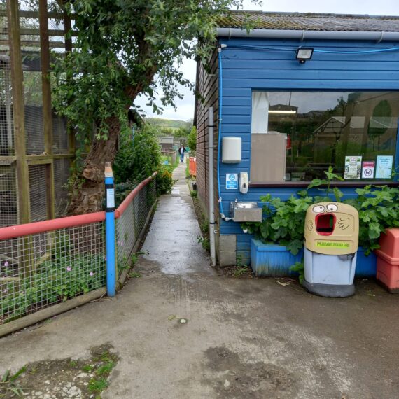 Borth Animalarium_1