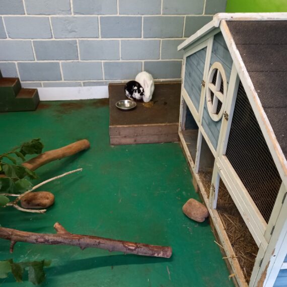 Borth Animalarium_4
