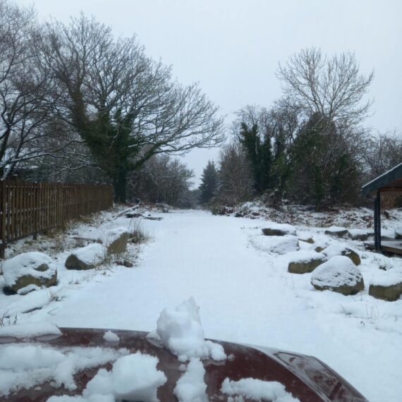 Winter wonderland_Mid Wales Lodges_Jan 2025_1