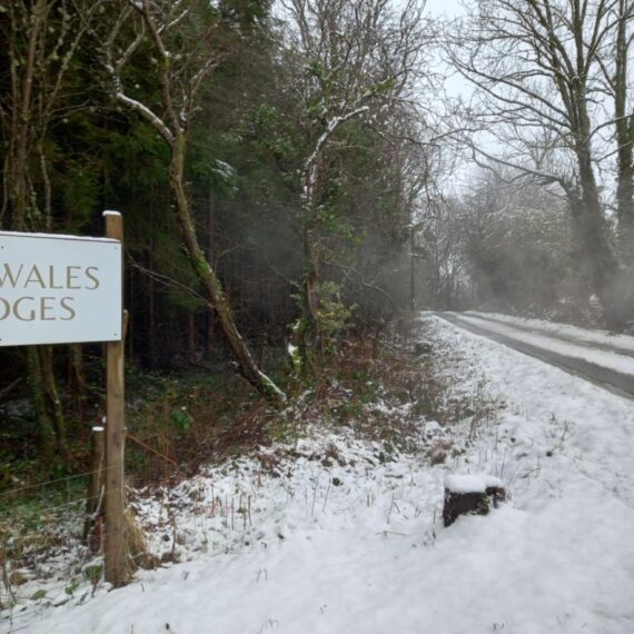 Winter wonderland_Mid Wales Lodges_Jan 2025_4