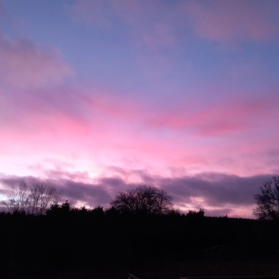 Sunset at the lodges_25 Jan 2025