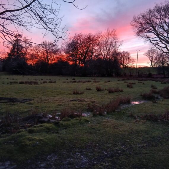 Sunset at Mid Wales Lodges Jan 2025_1