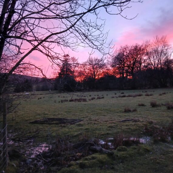 Sunset at Mid Wales Lodges Jan 2025_2