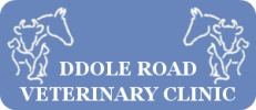 Ddole Road Veterinary Clinic logo
