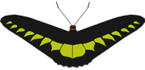 The Magic of Life Butterfly House logo